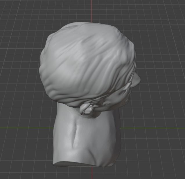 Aaron Swartz 3D print model_16