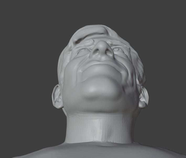 Aaron Swartz 3D print model_6