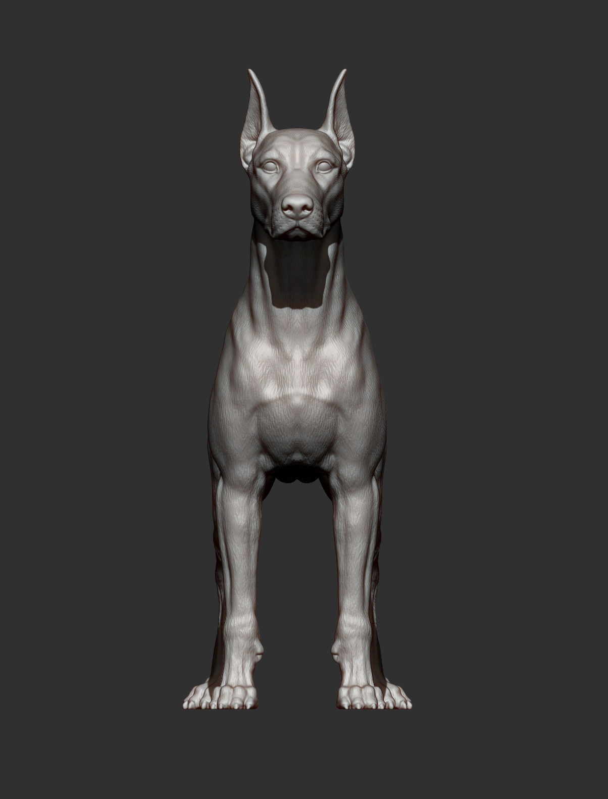 Doberman 3D print model_11