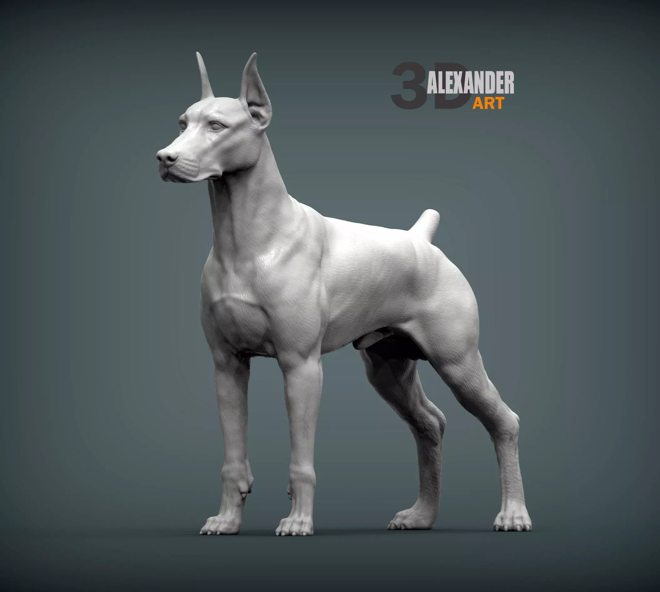 Doberman 3D print model_0