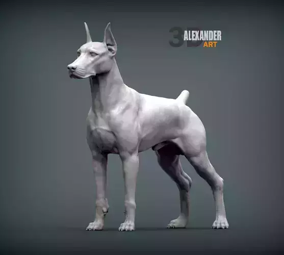 Doberman 3D print model
