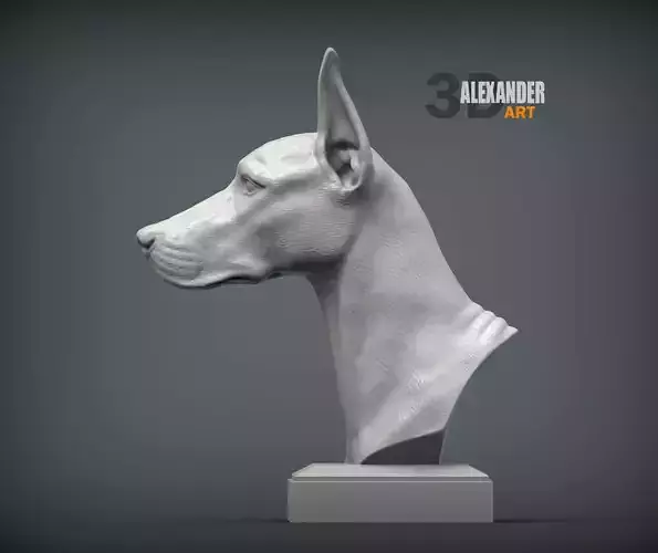 Doberman bust