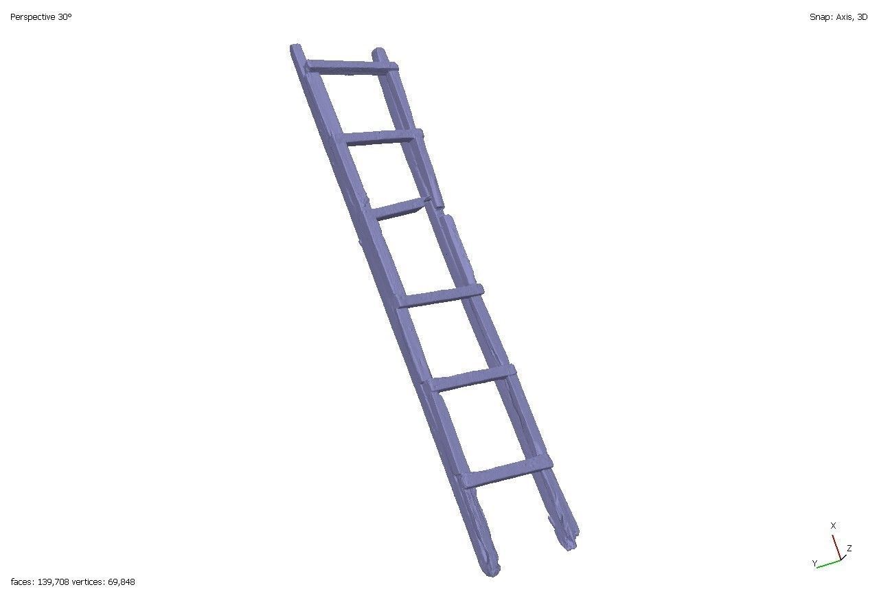 Old rotten wooden ladder 3D model_5