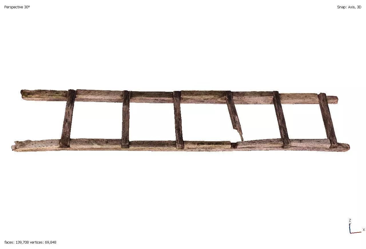 Old rotten wooden ladder 3D model_0