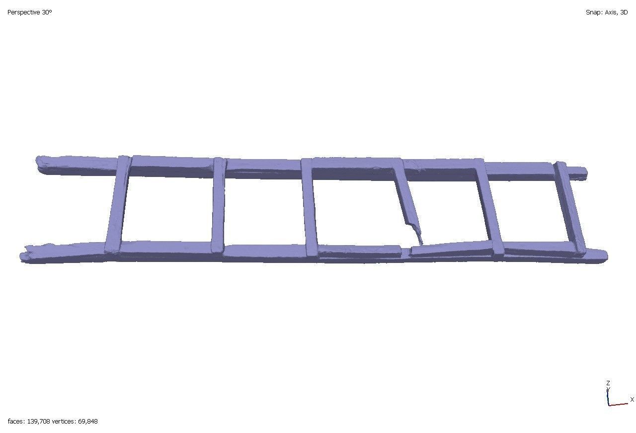 Old rotten wooden ladder 3D model_1