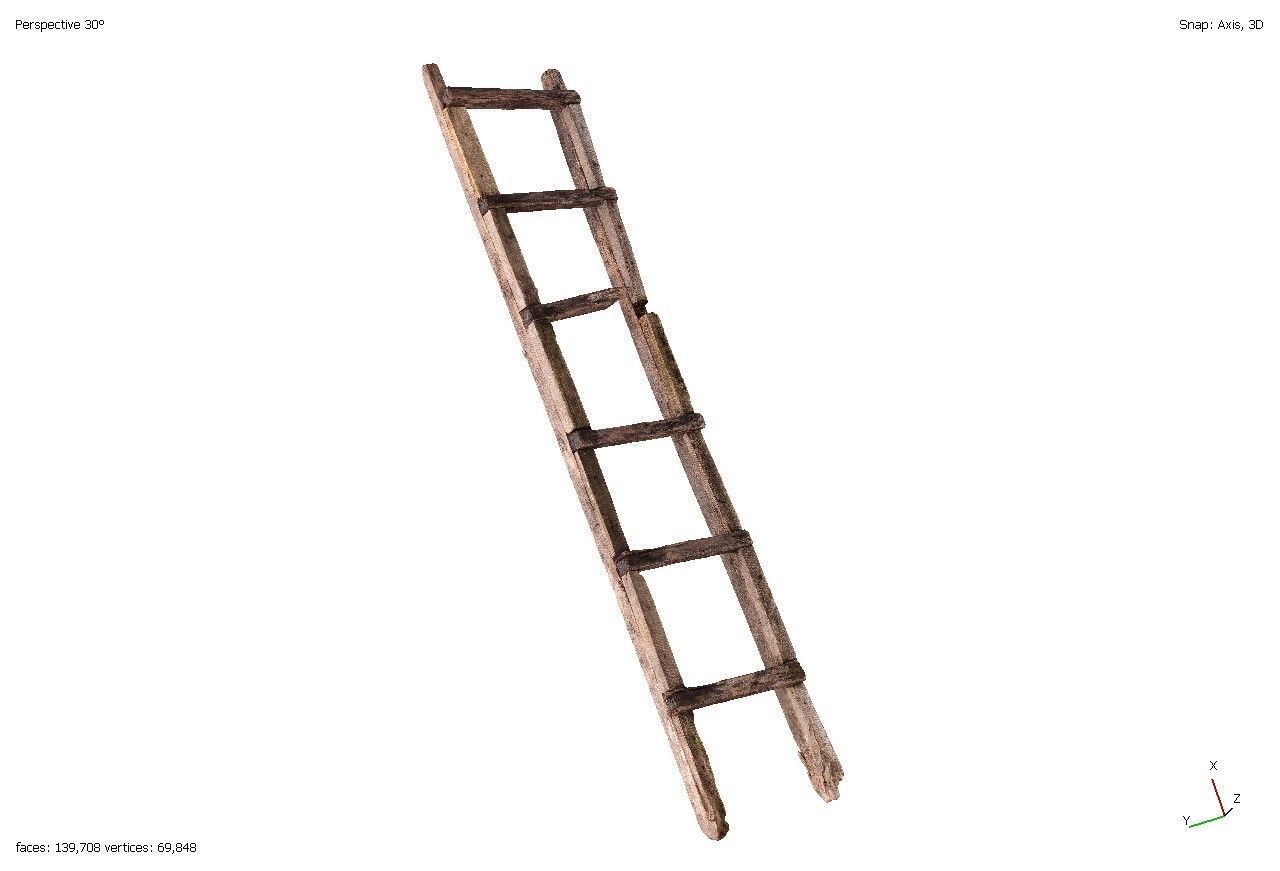 Old rotten wooden ladder 3D model_4