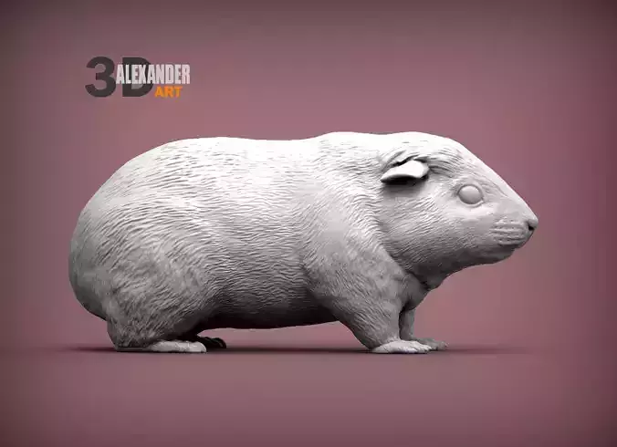 Teddy Guinea Pig 3D print model