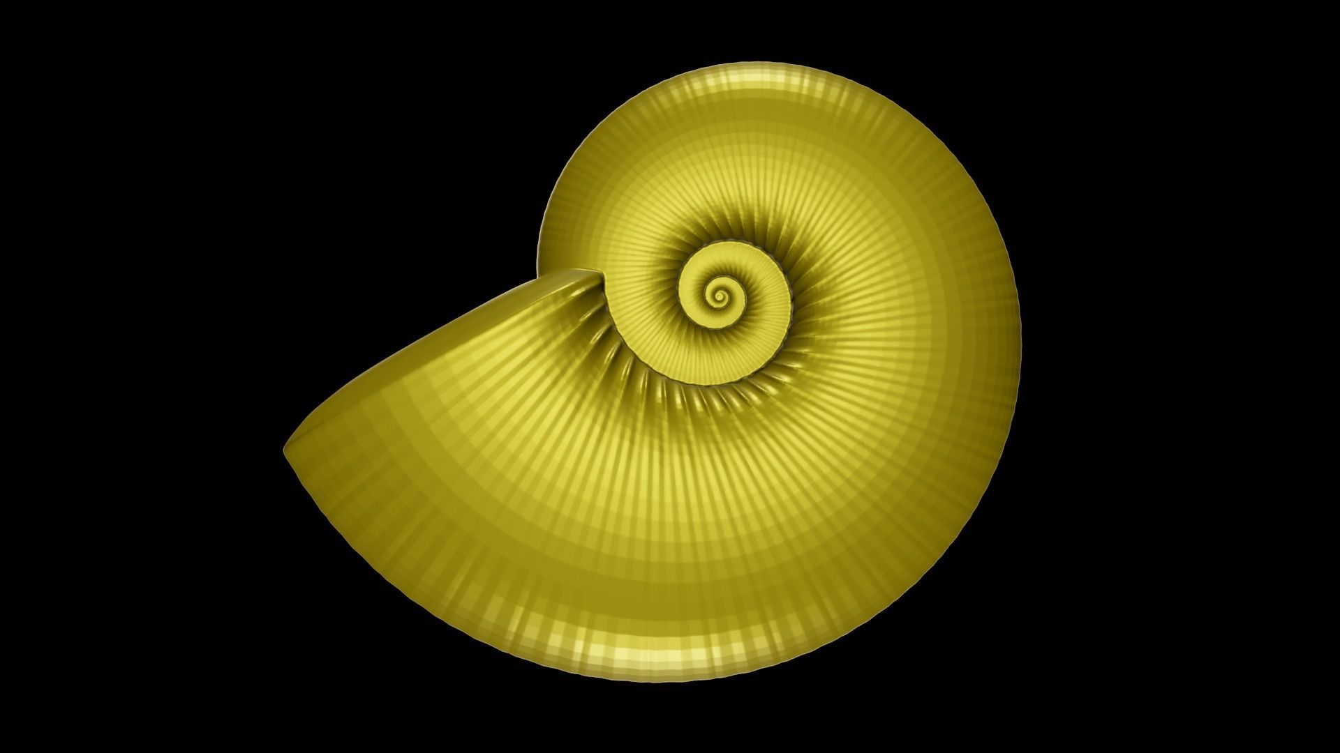 Discocone shell ornamented 3D print model_1