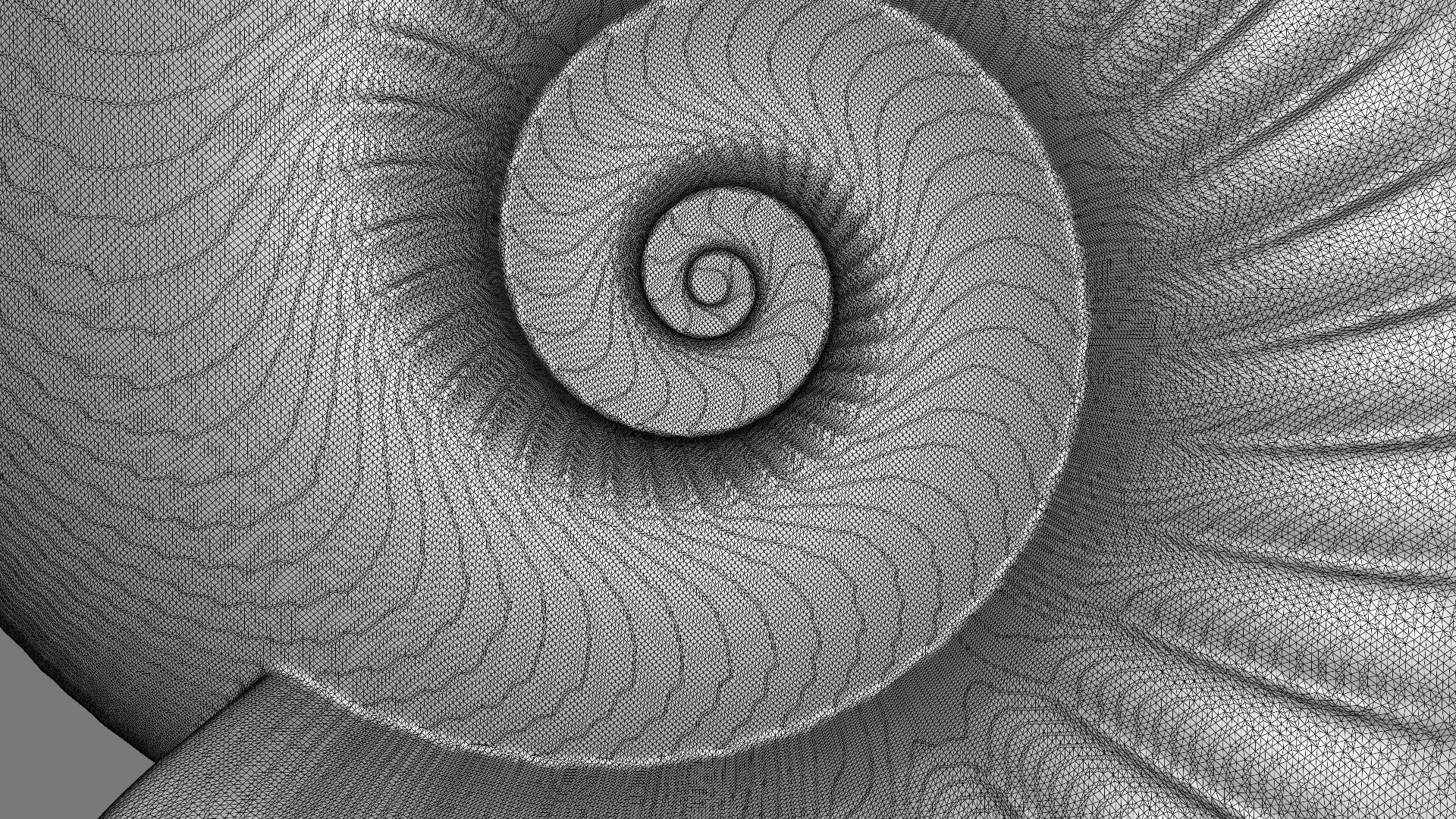 Discocone shell ornamented 3D print model_9