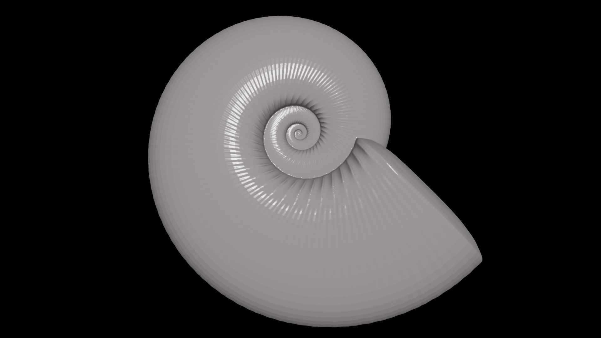 Discocone shell ornamented 3D print model_5