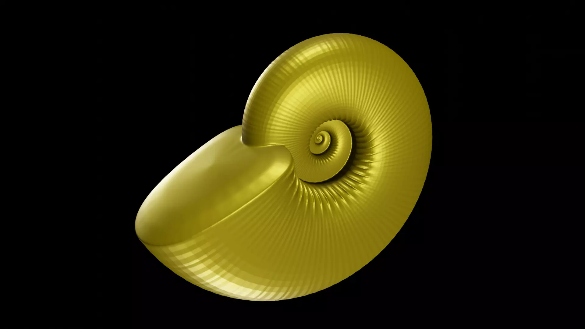 Discocone shell ornamented 3D print model_0