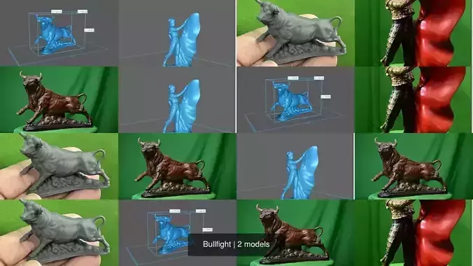 Bullfight 3D Model Collection