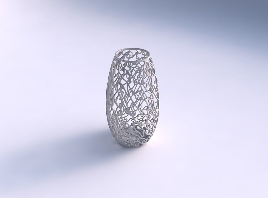 Spacious vase with twisted entangled lattice 3D print model_0