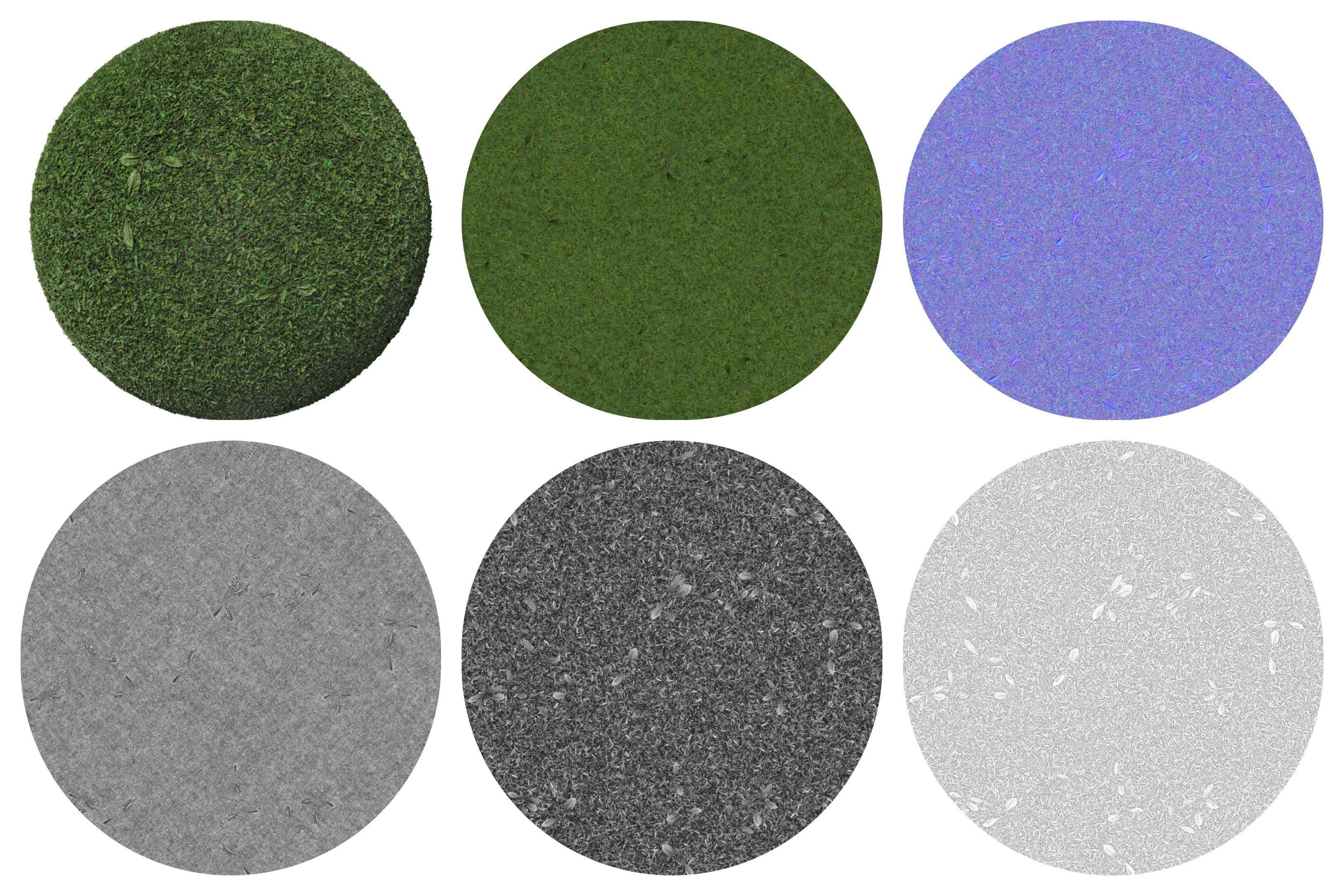 Pack 6 Grass Ground Dirt Real PBR 4K Texture_2