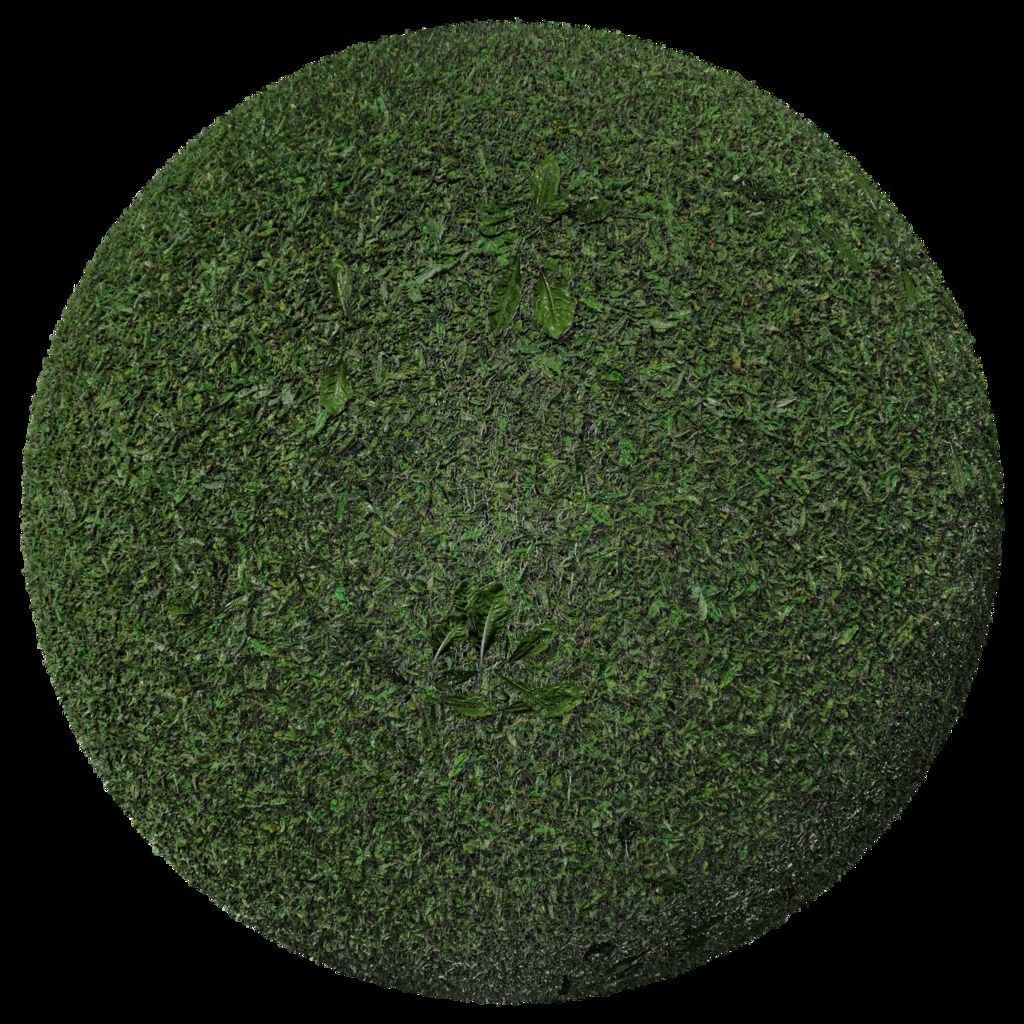 Pack 6 Grass Ground Dirt Real PBR 4K Texture_4
