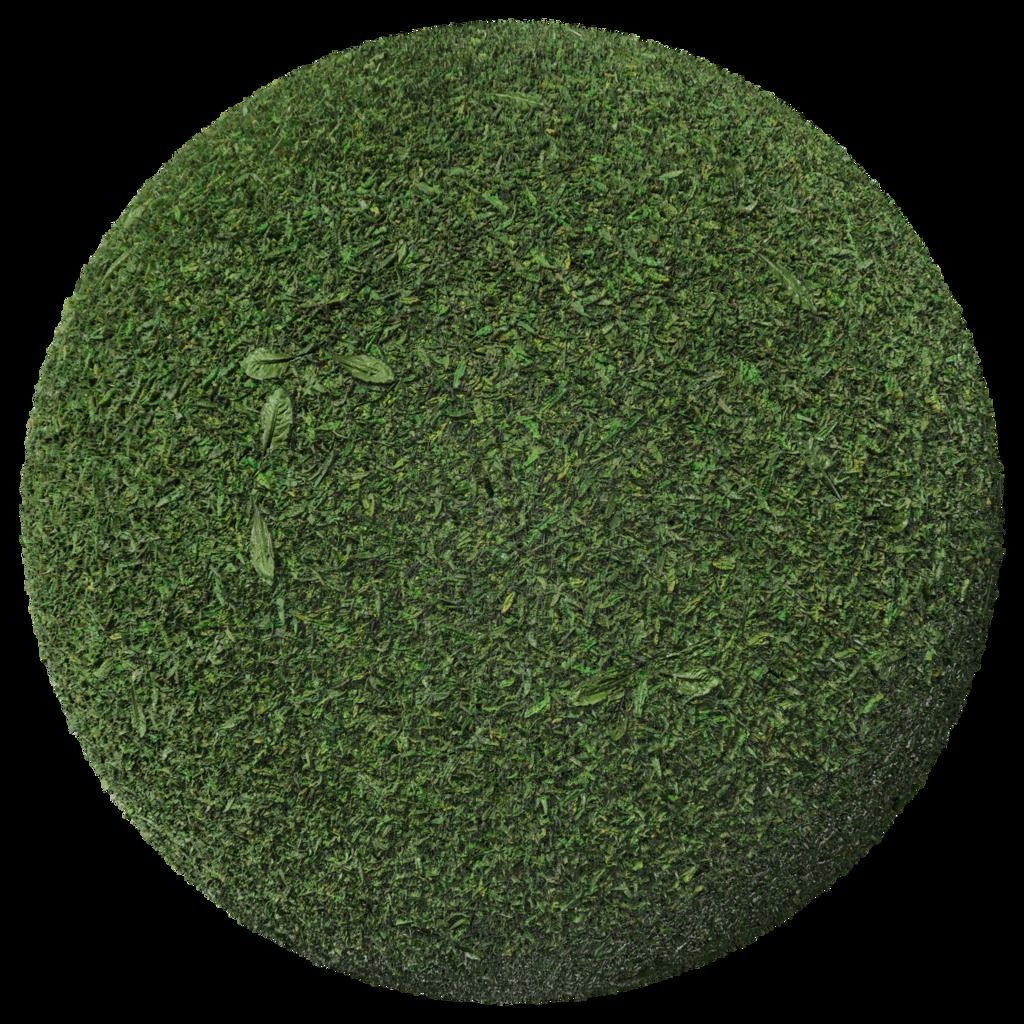 Pack 6 Grass Ground Dirt Real PBR 4K Texture_3
