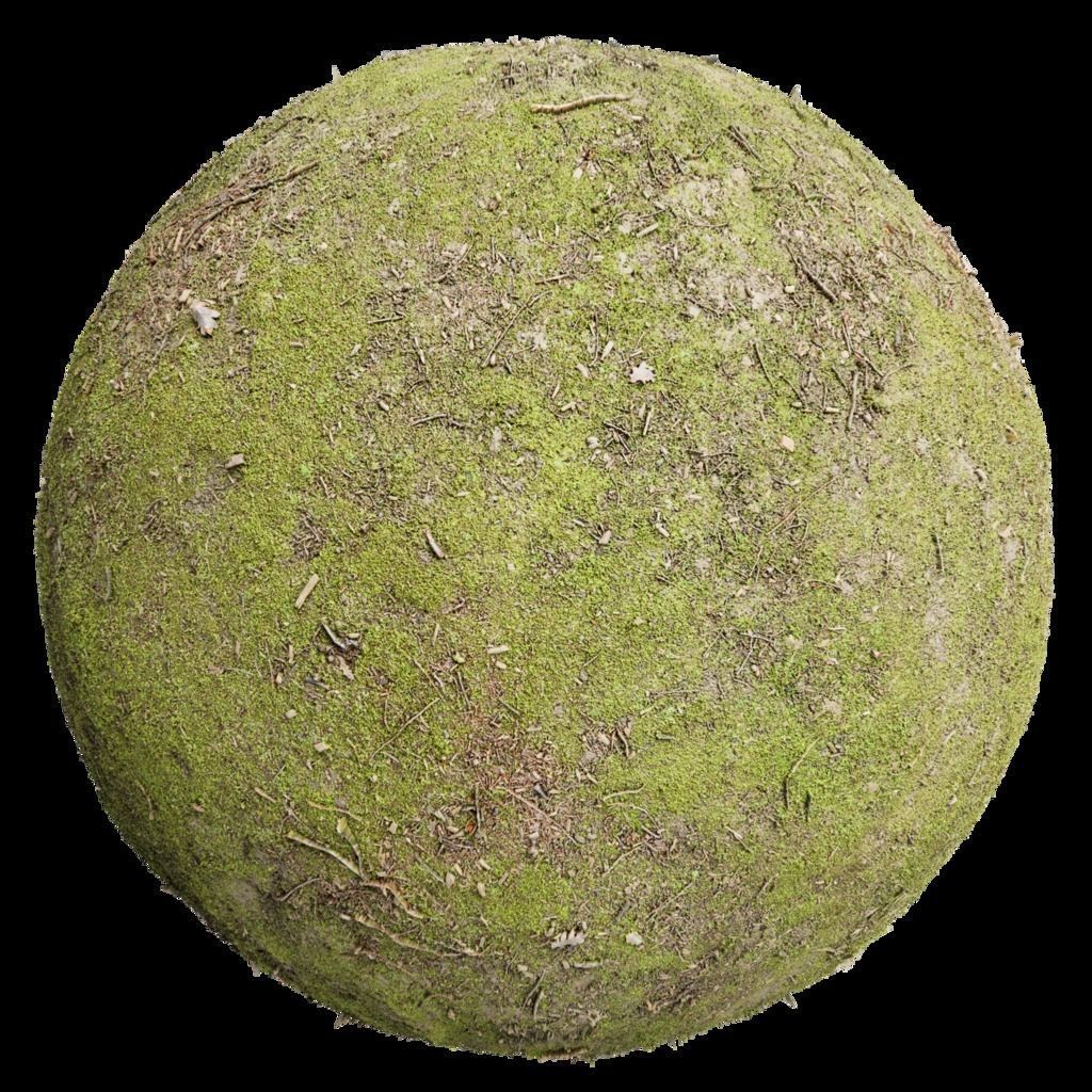 Pack 6 Grass Ground Dirt Real PBR 4K Texture_8