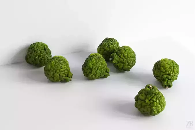 Lime  3D model