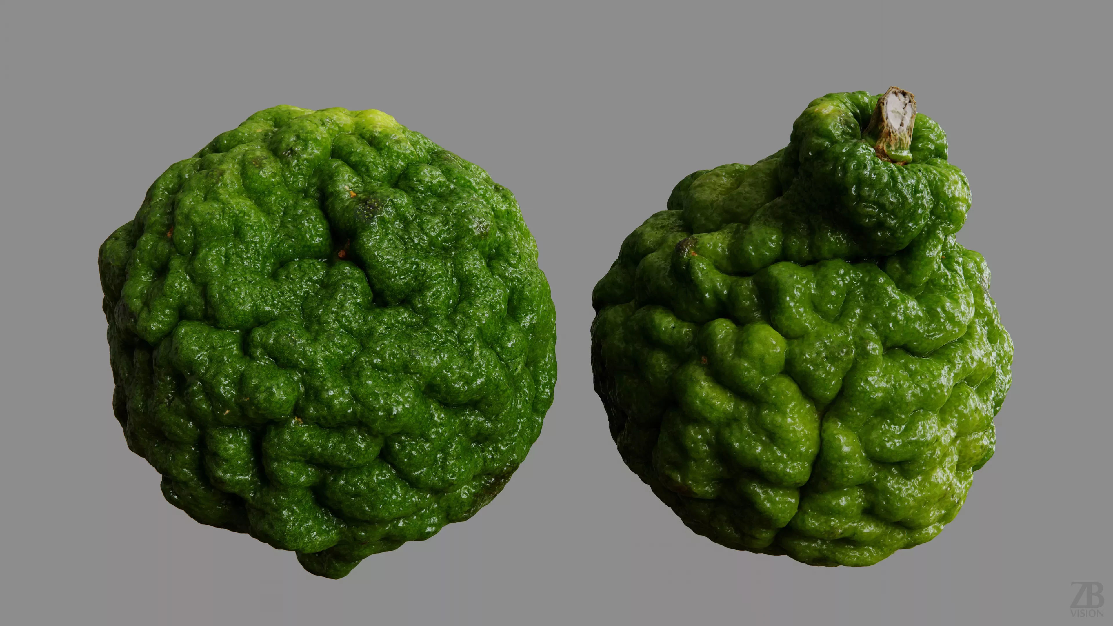 Lime  3D model_9