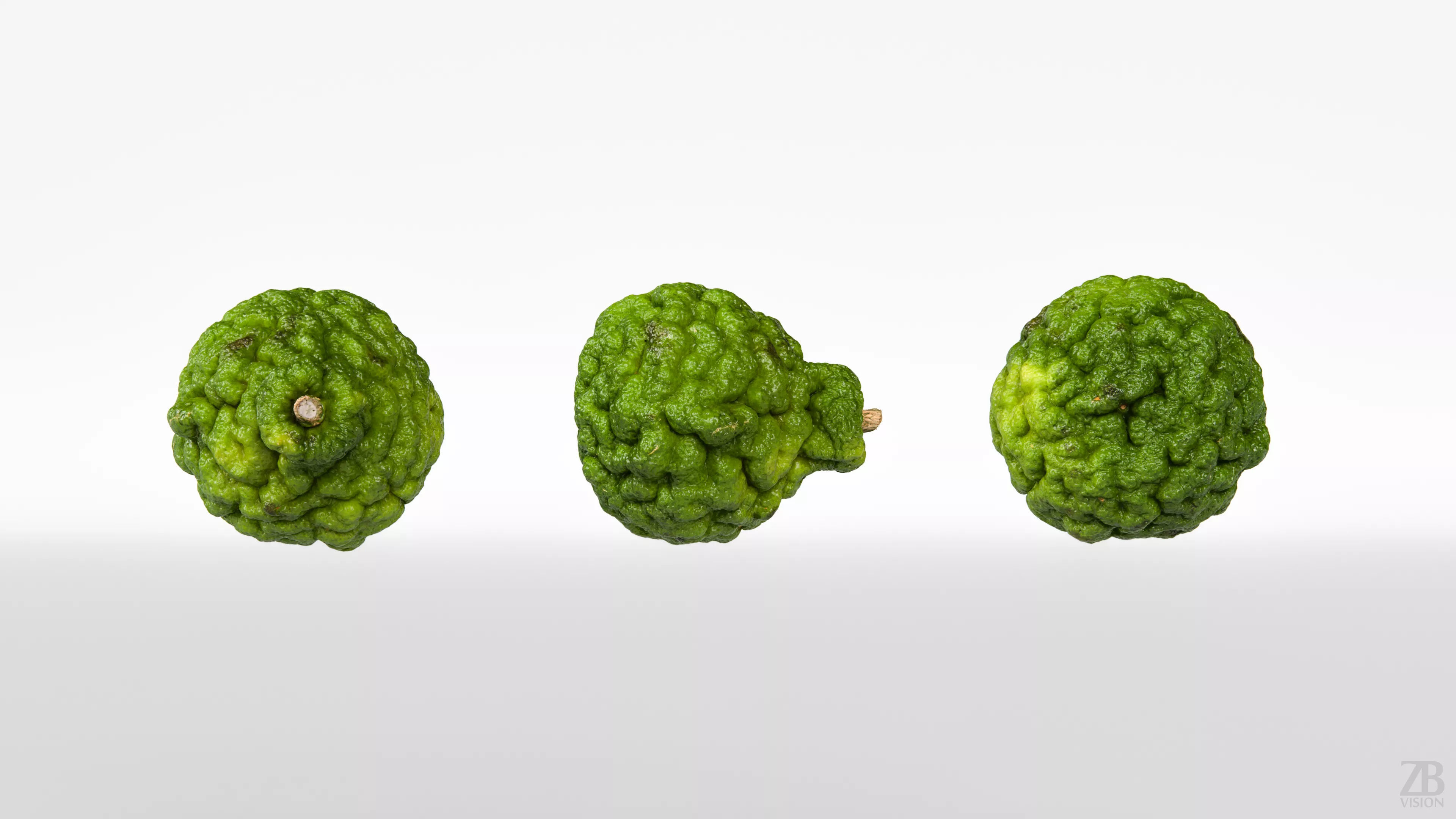 Lime  3D model_4