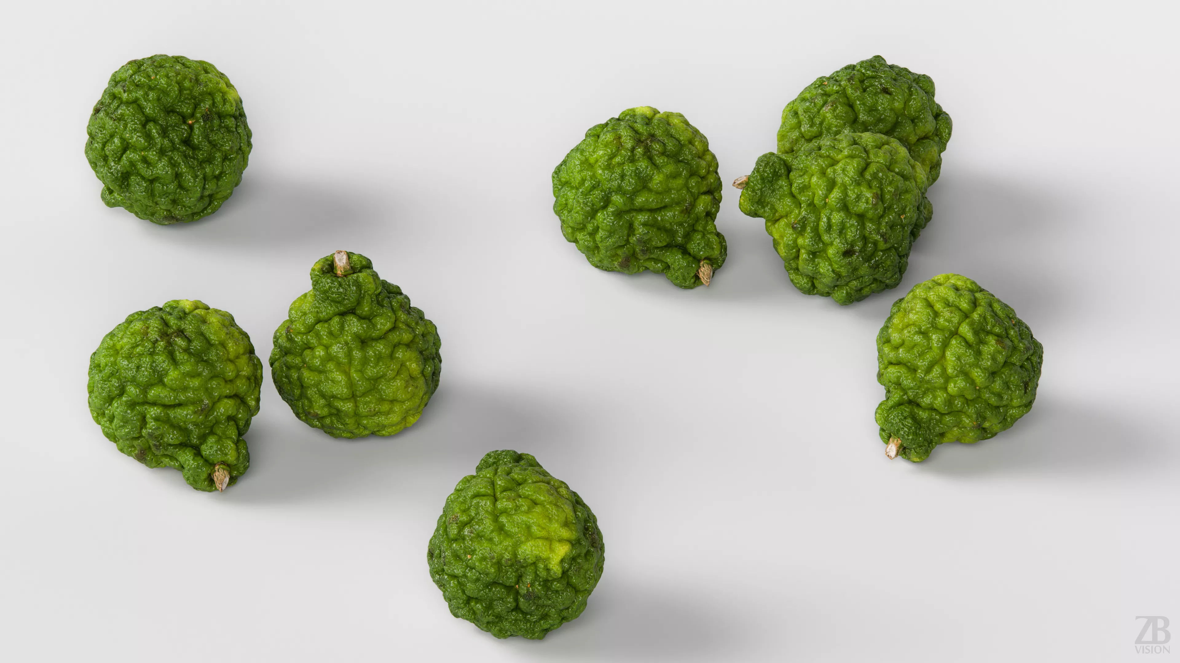 Lime  3D model_2