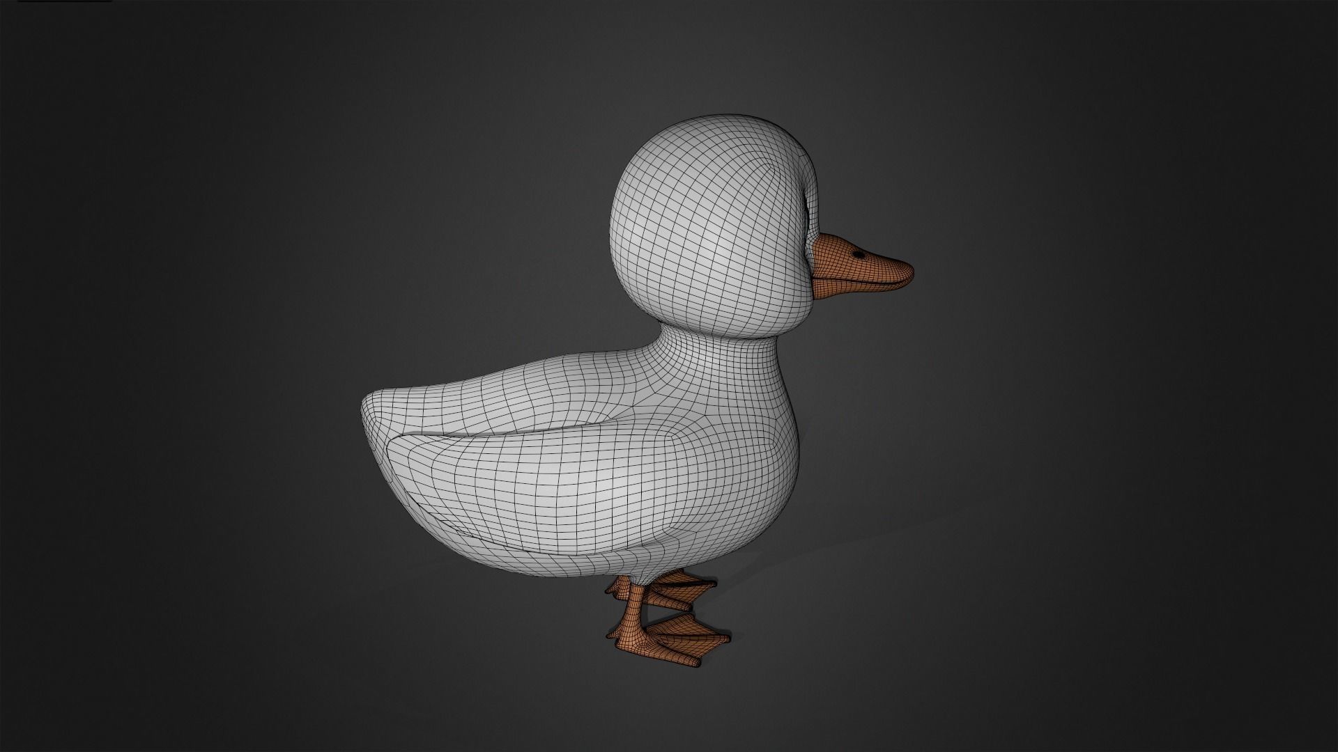 Asset - Cartoons - Animal - Duck Mother Rigged 3D model_7