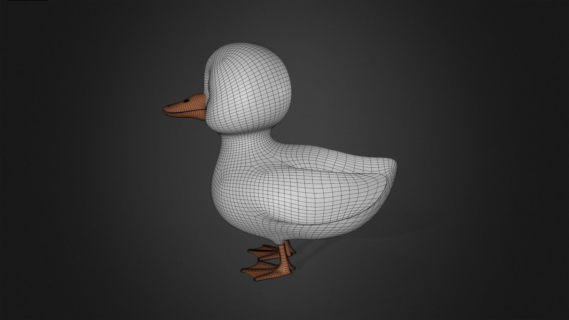 Asset - Cartoons - Animal - Duck Mother Rigged 3D model_13