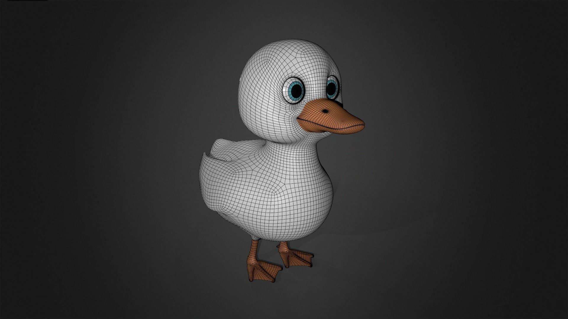 Asset - Cartoons - Animal - Duck Mother Rigged 3D model_5