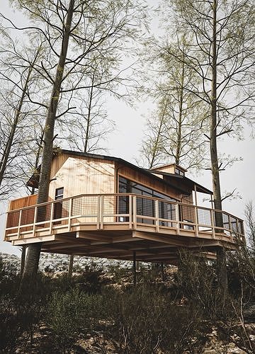 Tree House 3D model 2