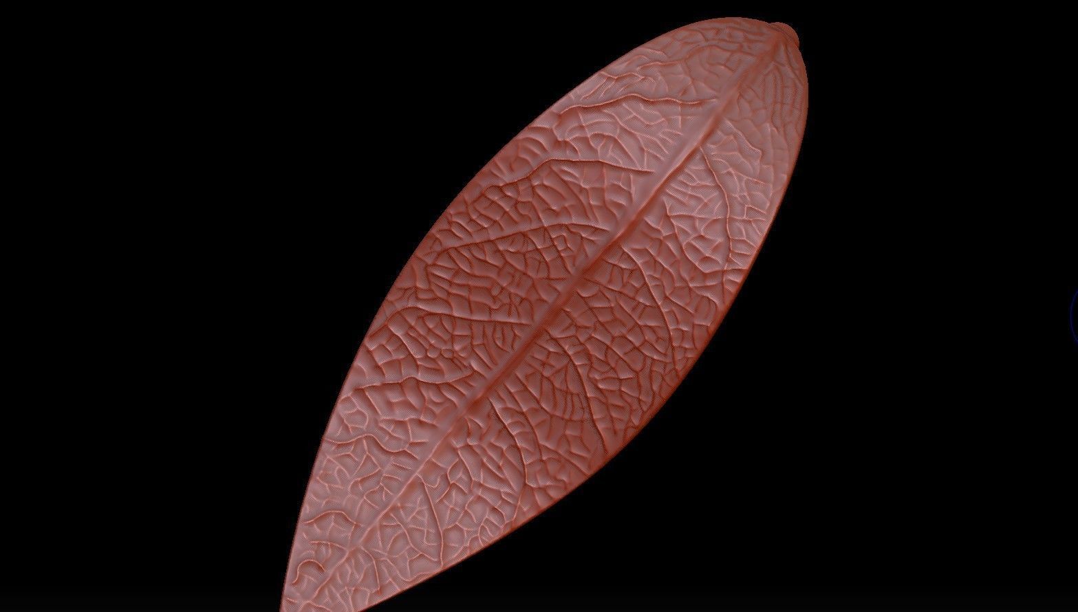 Nature Leaf Ring 3D Print Model STL OBJ Botanical Jewelry 3D print model_3