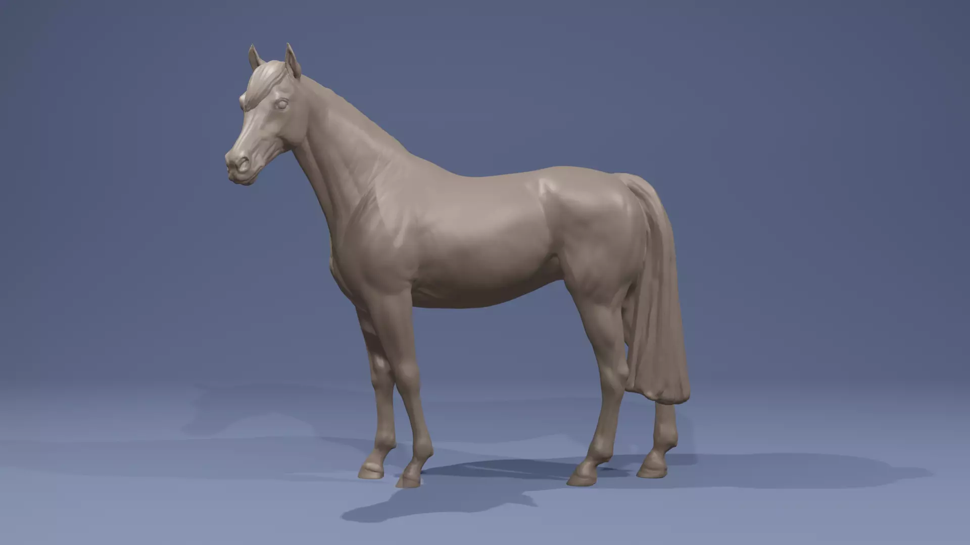 Realistic Arabian Horse Gelding Racehorse 3D print model_0