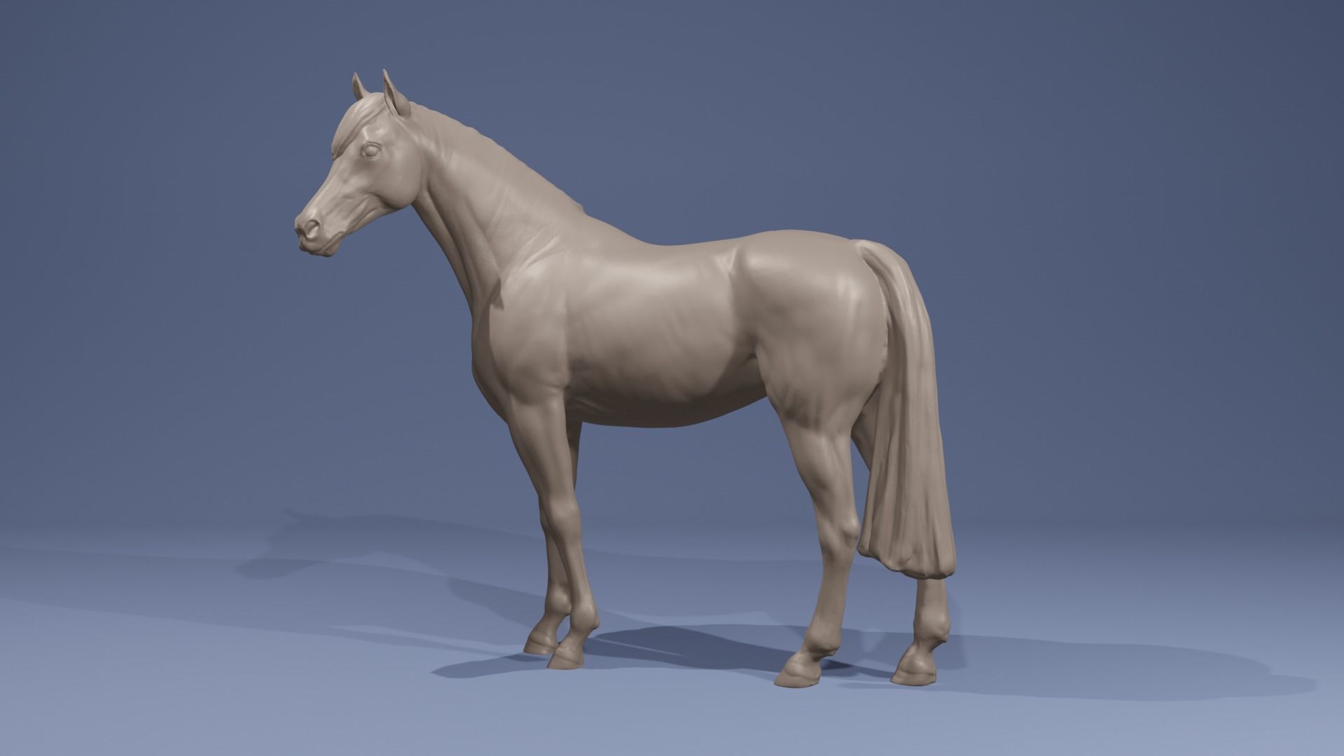 Realistic Arabian Horse Gelding Racehorse 3D print model_1