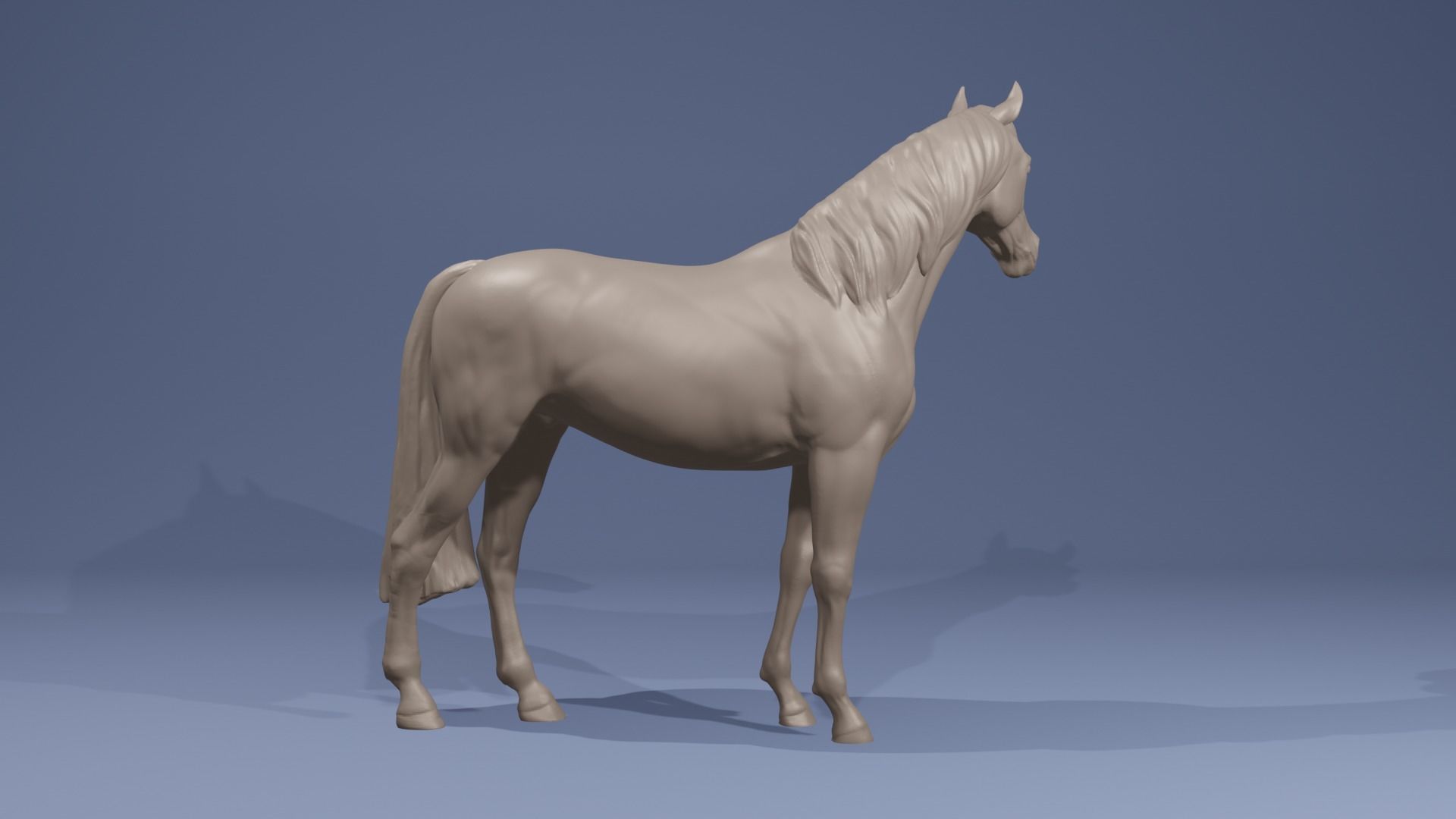 Realistic Arabian Horse Gelding Racehorse 3D print model_3