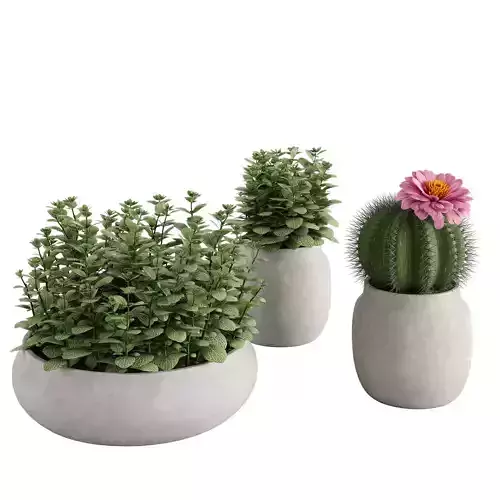 Set Ronan Ficonstone Indoor vs Outdoor Planters small