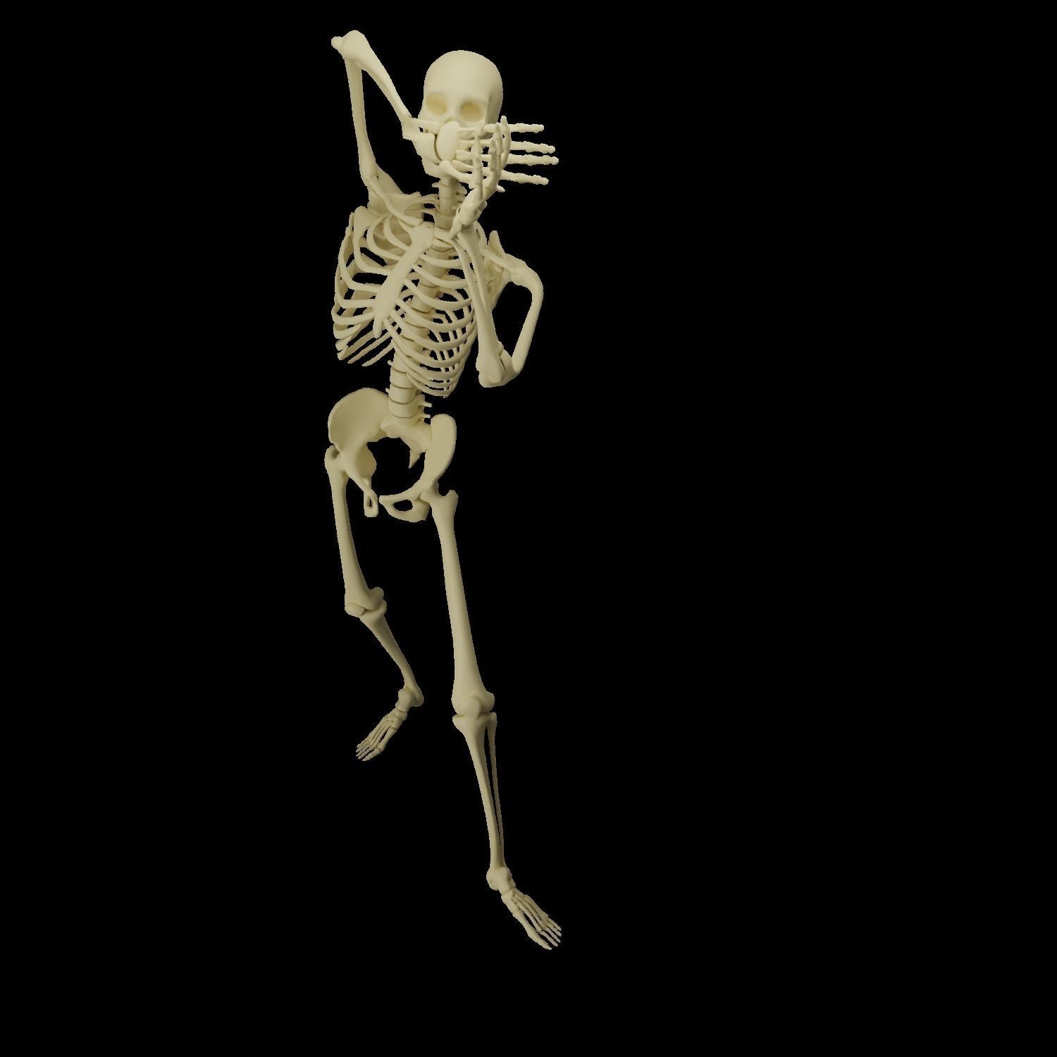 HUMAN SKELTON Low-poly 3D model_2