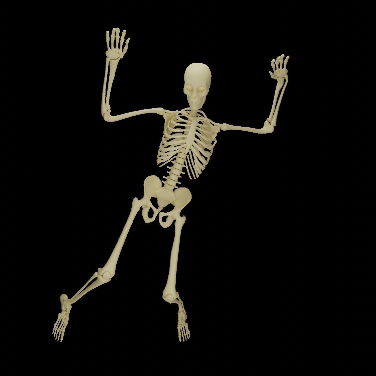 HUMAN SKELTON Low-poly 3D model_1