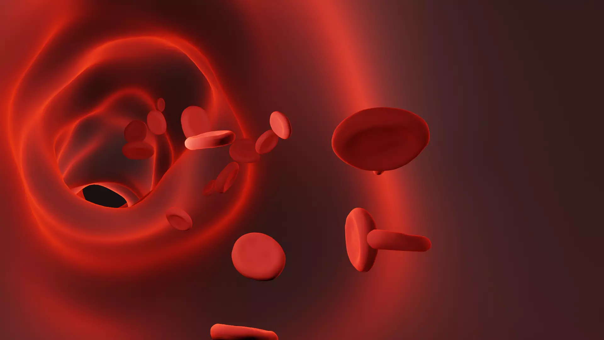 Blood vessel 3D model_0