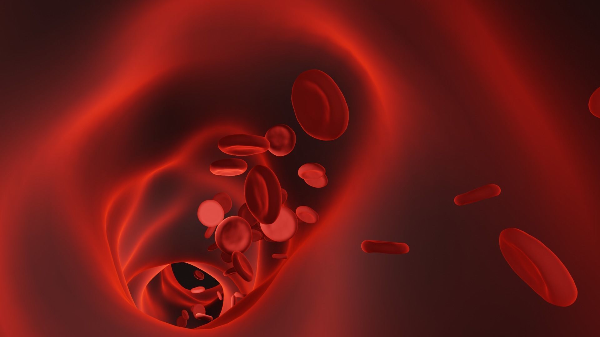 Blood vessel 3D model_3