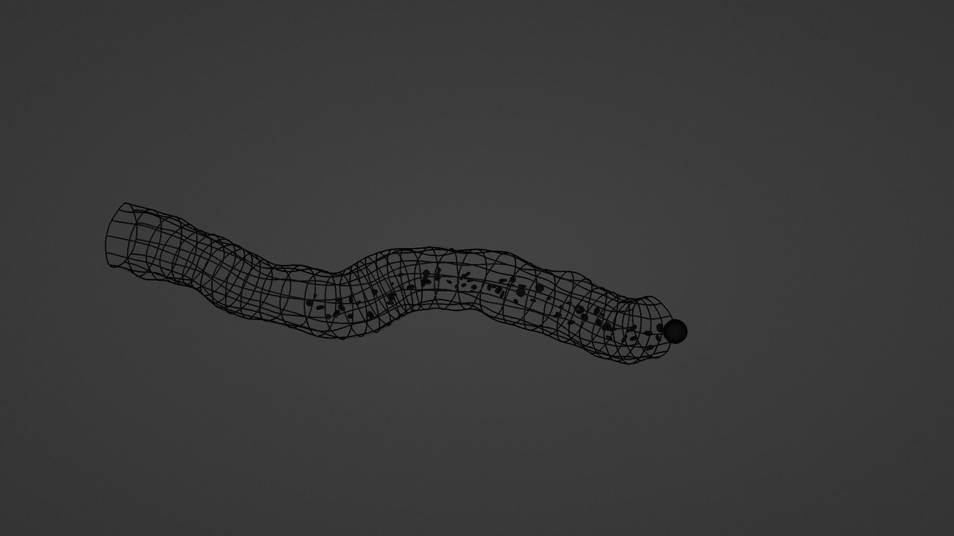 Blood vessel 3D model_8