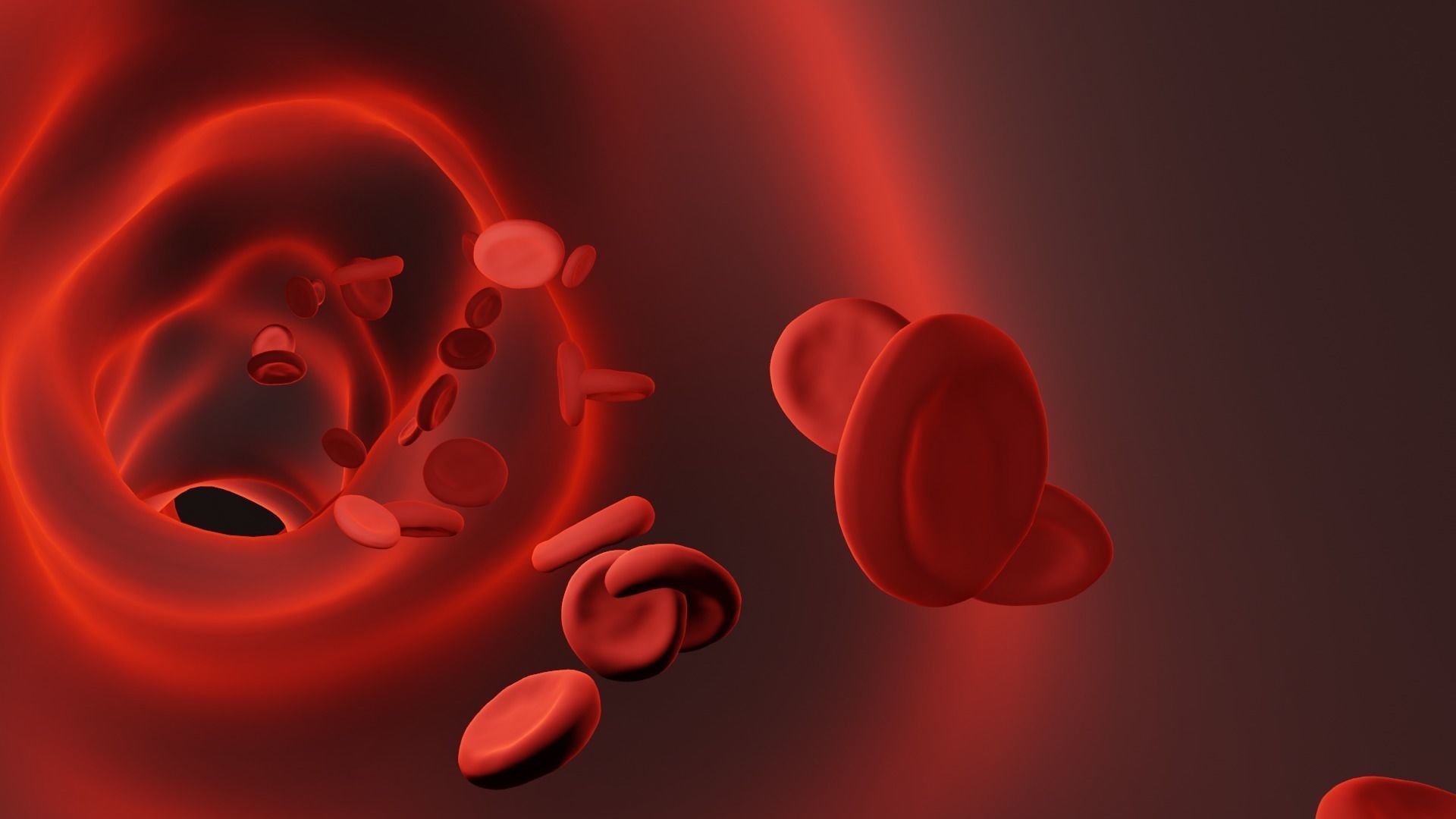 Blood vessel 3D model_2