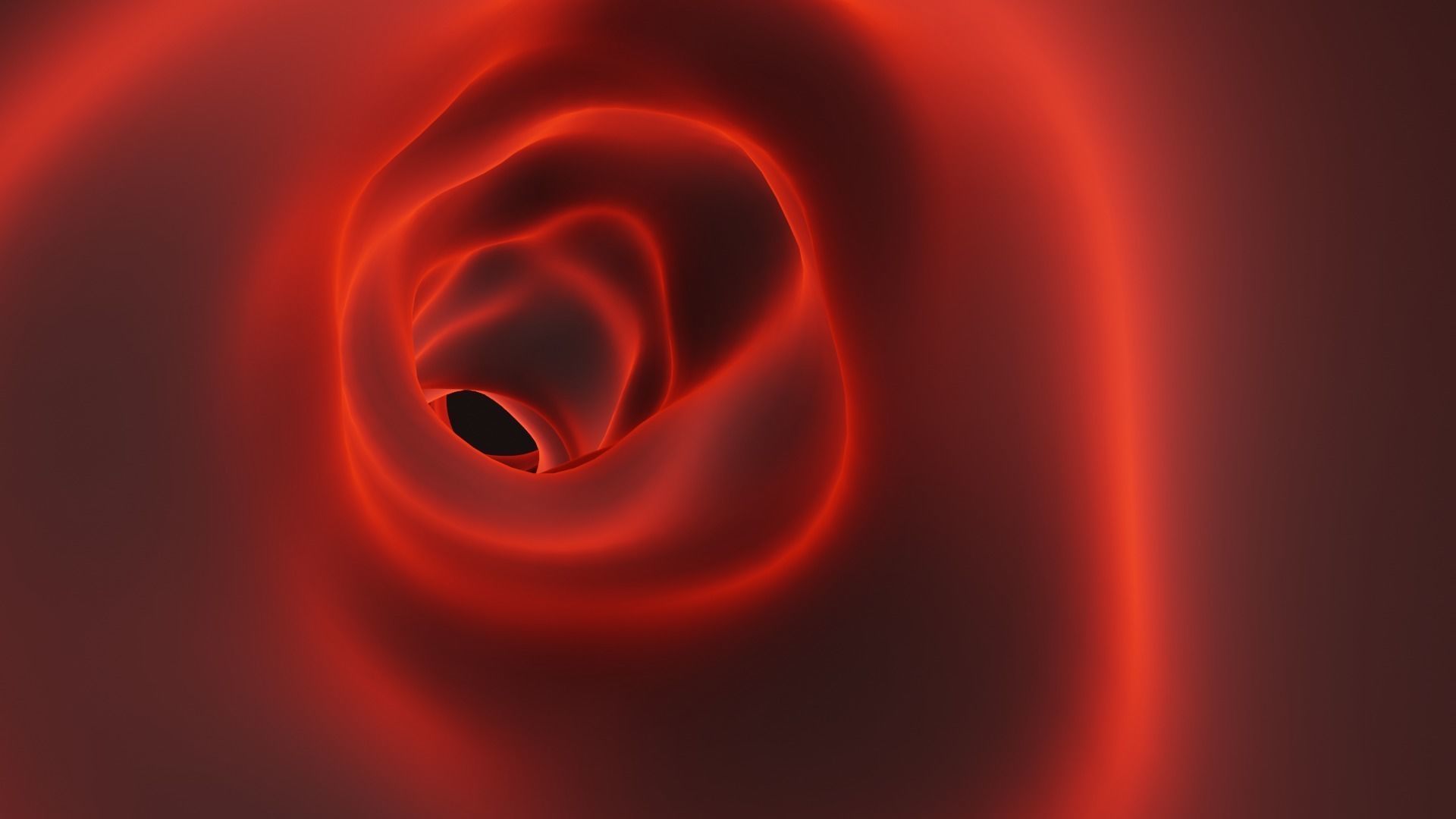 Blood vessel 3D model_1