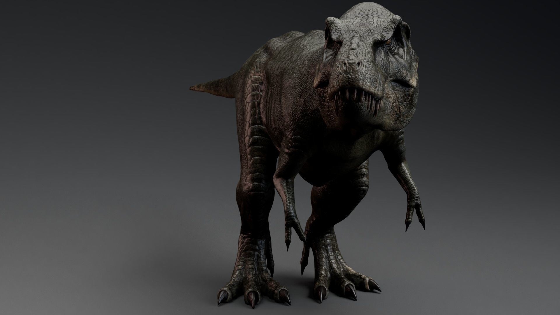 Dinosaur Tyrannosaurus Rex Stan Unity Project Low-poly 3D model_6