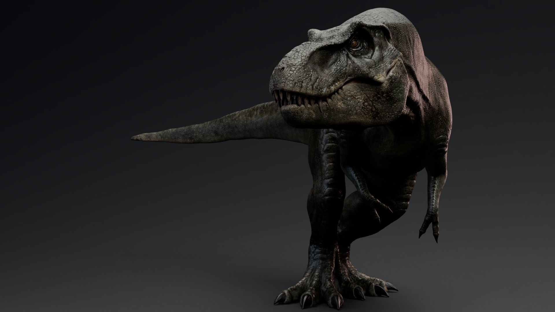Dinosaur Tyrannosaurus Rex Stan Unity Project Low-poly 3D model_7
