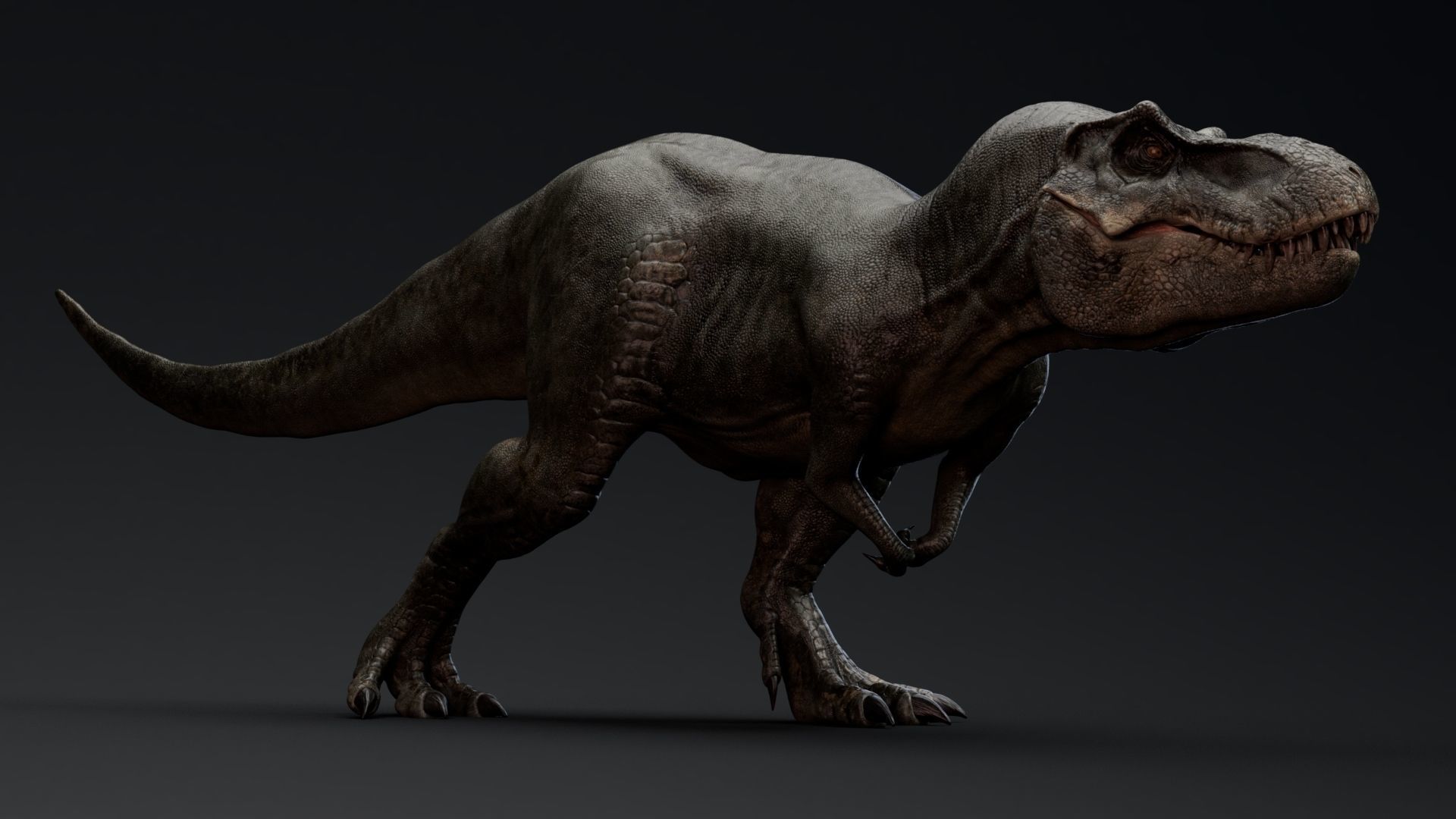 Dinosaur Tyrannosaurus Rex Stan Unity Project Low-poly 3D model_4