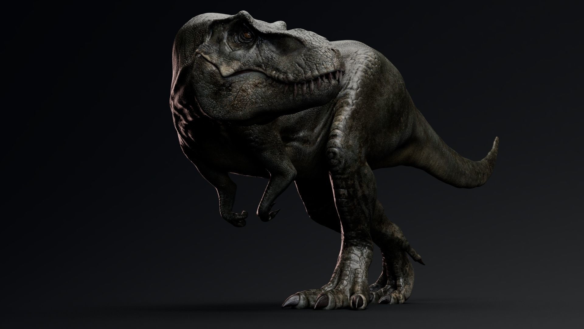 Dinosaur Tyrannosaurus Rex Stan Unity Project Low-poly 3D model_5