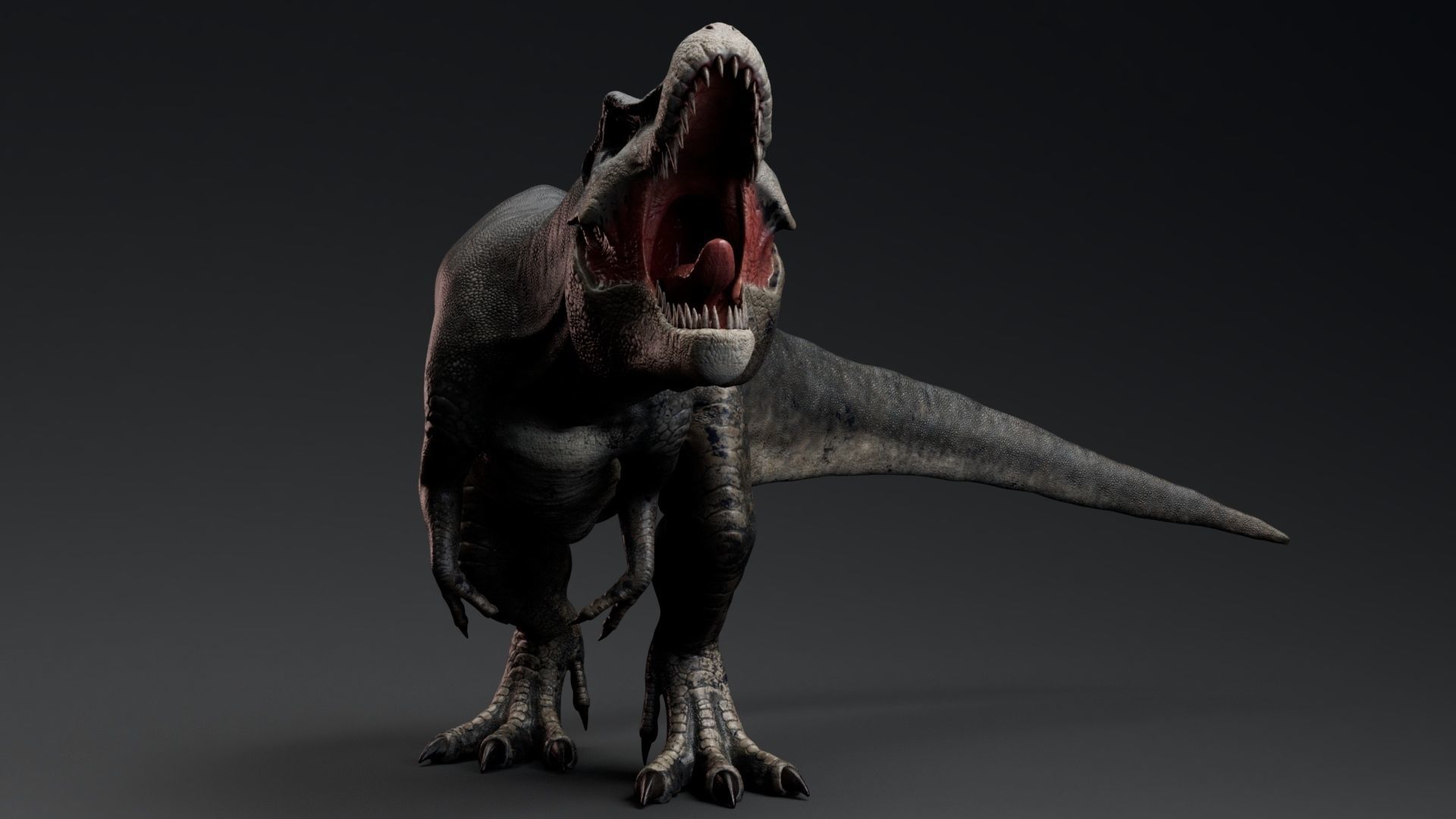 Dinosaur Tyrannosaurus Rex Stan Unity Project Low-poly 3D model_2