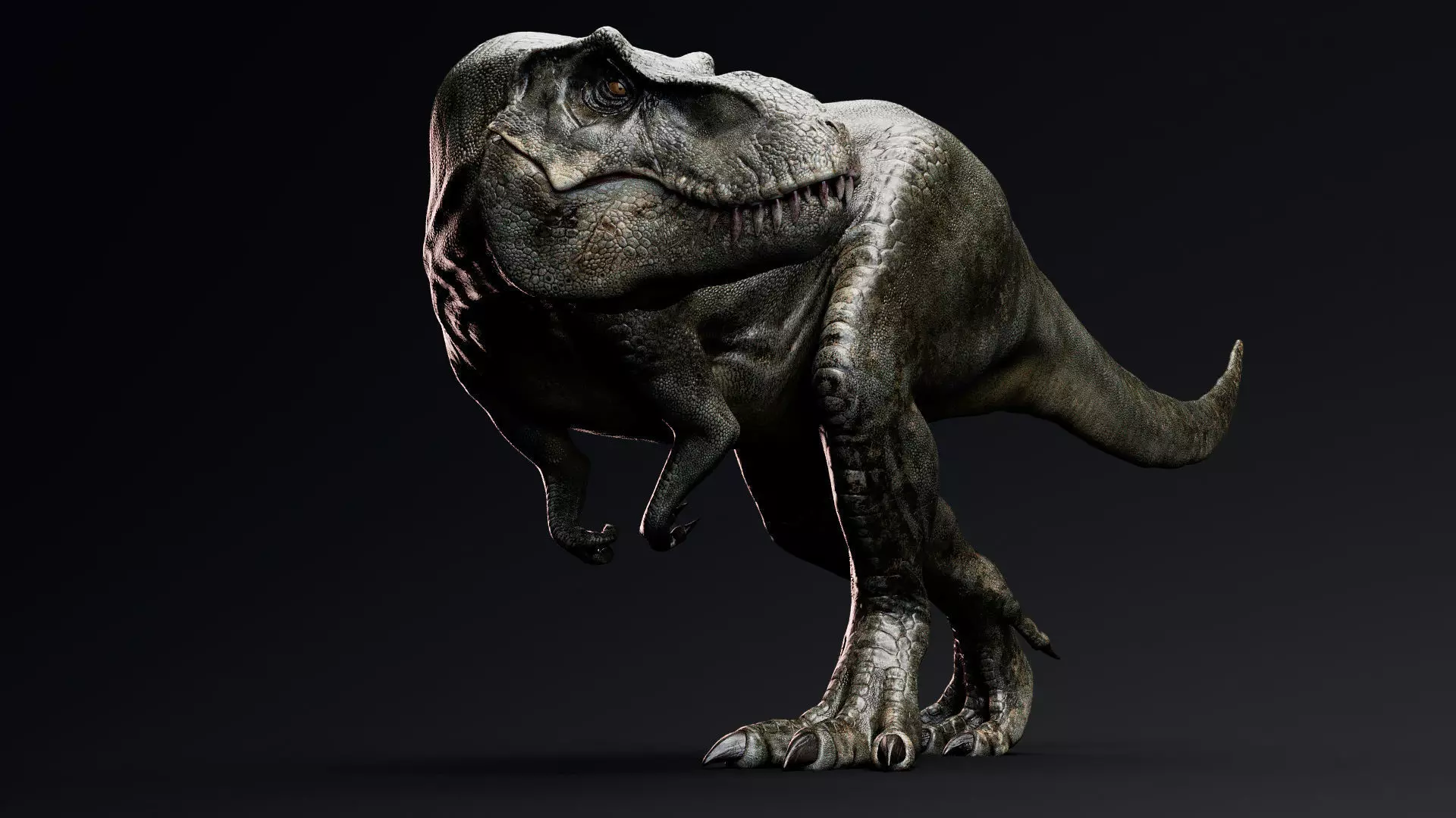 Dinosaur Tyrannosaurus Rex Stan Unity Project Low-poly 3D model_0