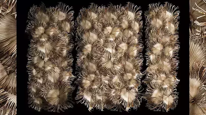 Wall decor made from dry branches of palm leaves 312