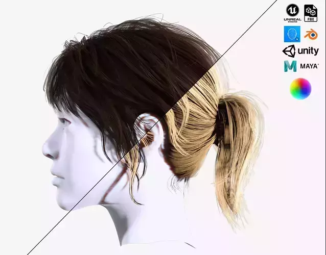 Female Ponytail Hairstyle Low-poly 3D model