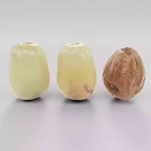 fresh ripe or spoiled Grapes Low-poly 3D model